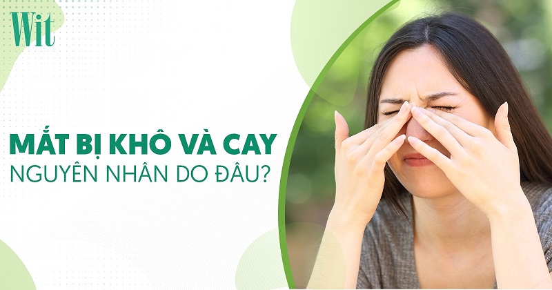 Mắt bị khô và cay