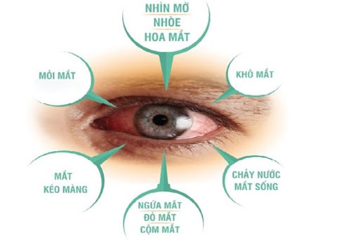 Mắt bị mờ nên ăn gì để cải thiện hiệu quả nhất ?
