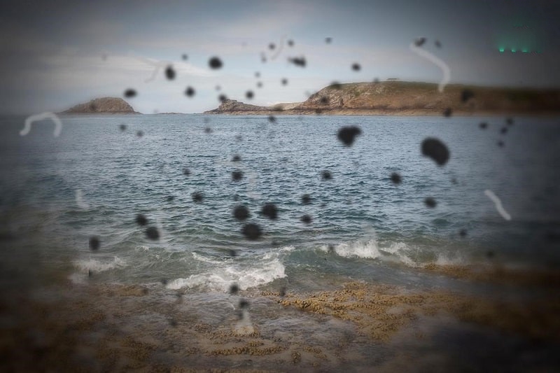 dấu hiệu thoái hóa võng mạc chu biến