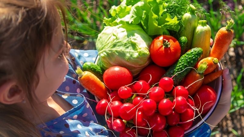 thức ăn chữa khô mắt