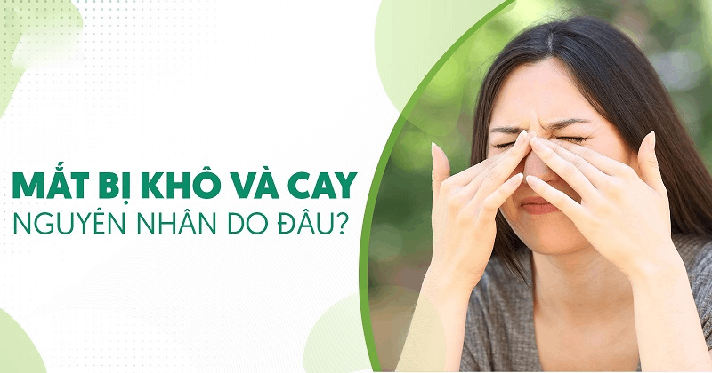 mắt bị khô và cay