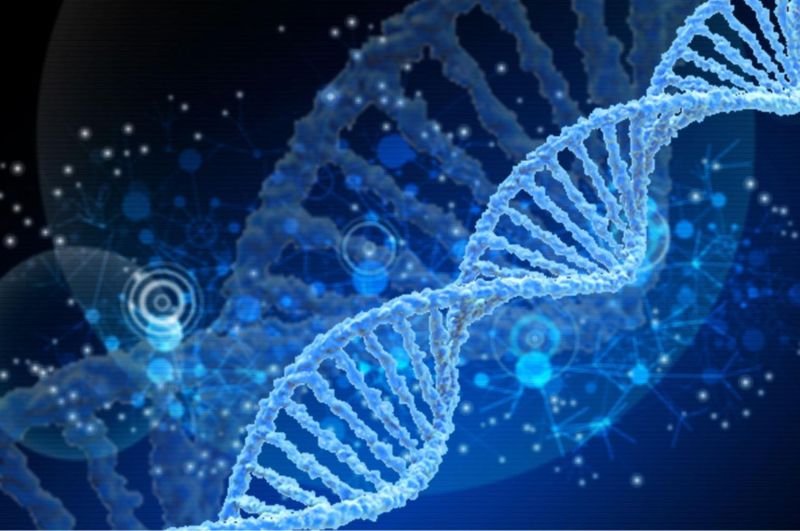 Trẻ bị viễn thị bẩm sinh có thể do yếu tố di truyền